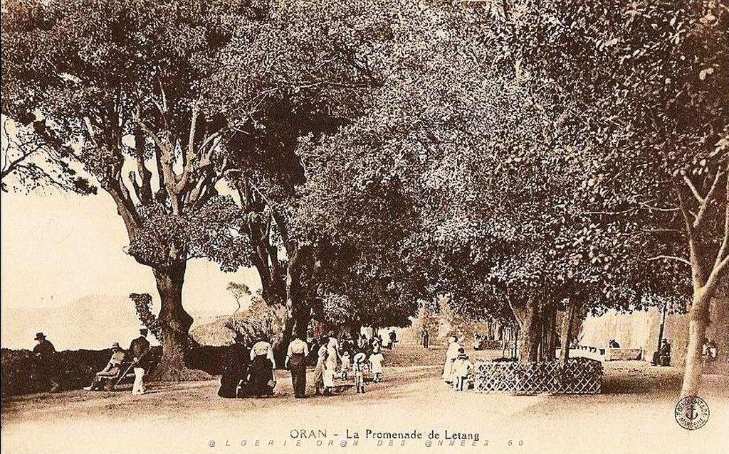 PL b - 082- Promenade de Letang B.jpg